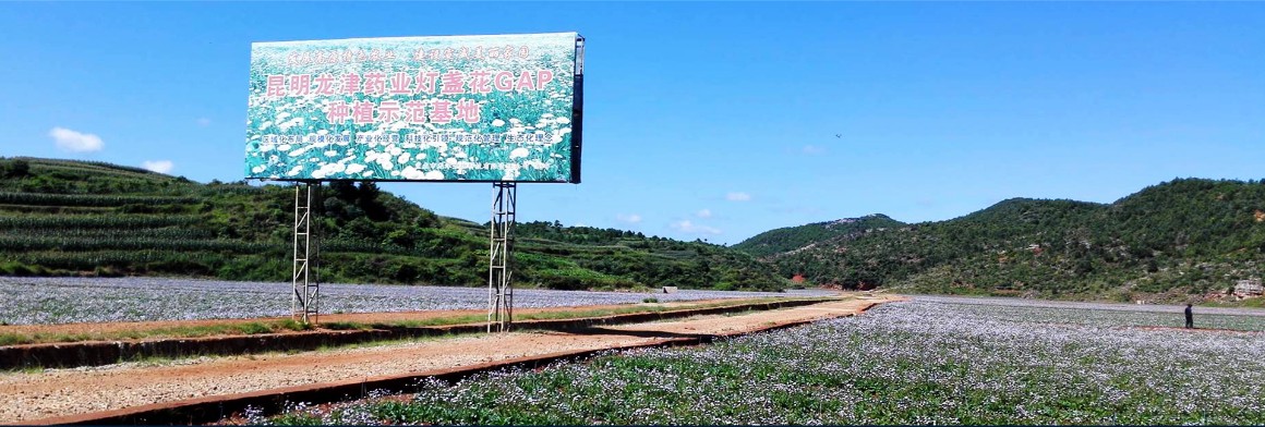 1581610345110093026.jpg 1581610345110093026.jpg